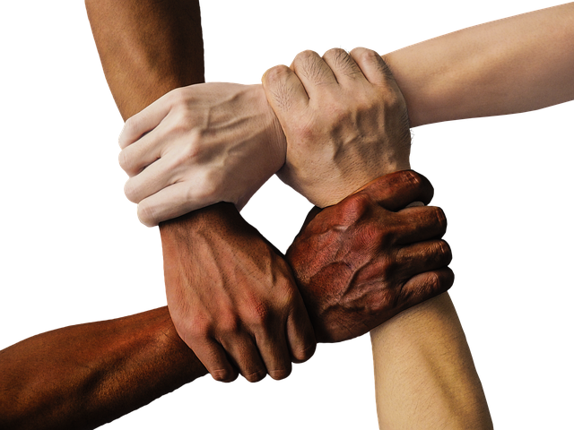 Audit energetic profesional Timișoara